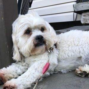 Meet your Posher, Reed